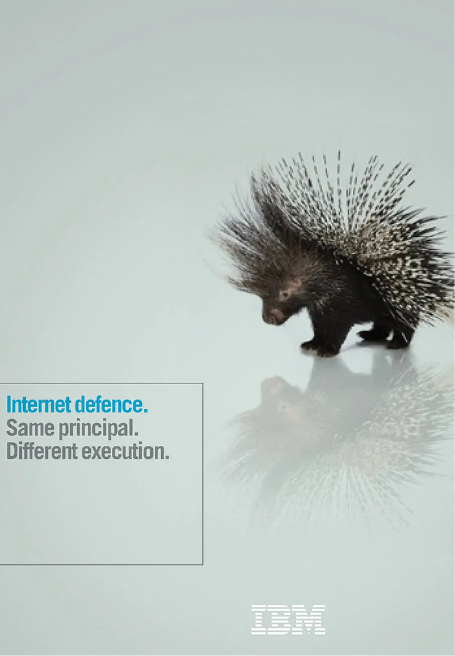 ‘Internet defence’ advert featuring a porcupine